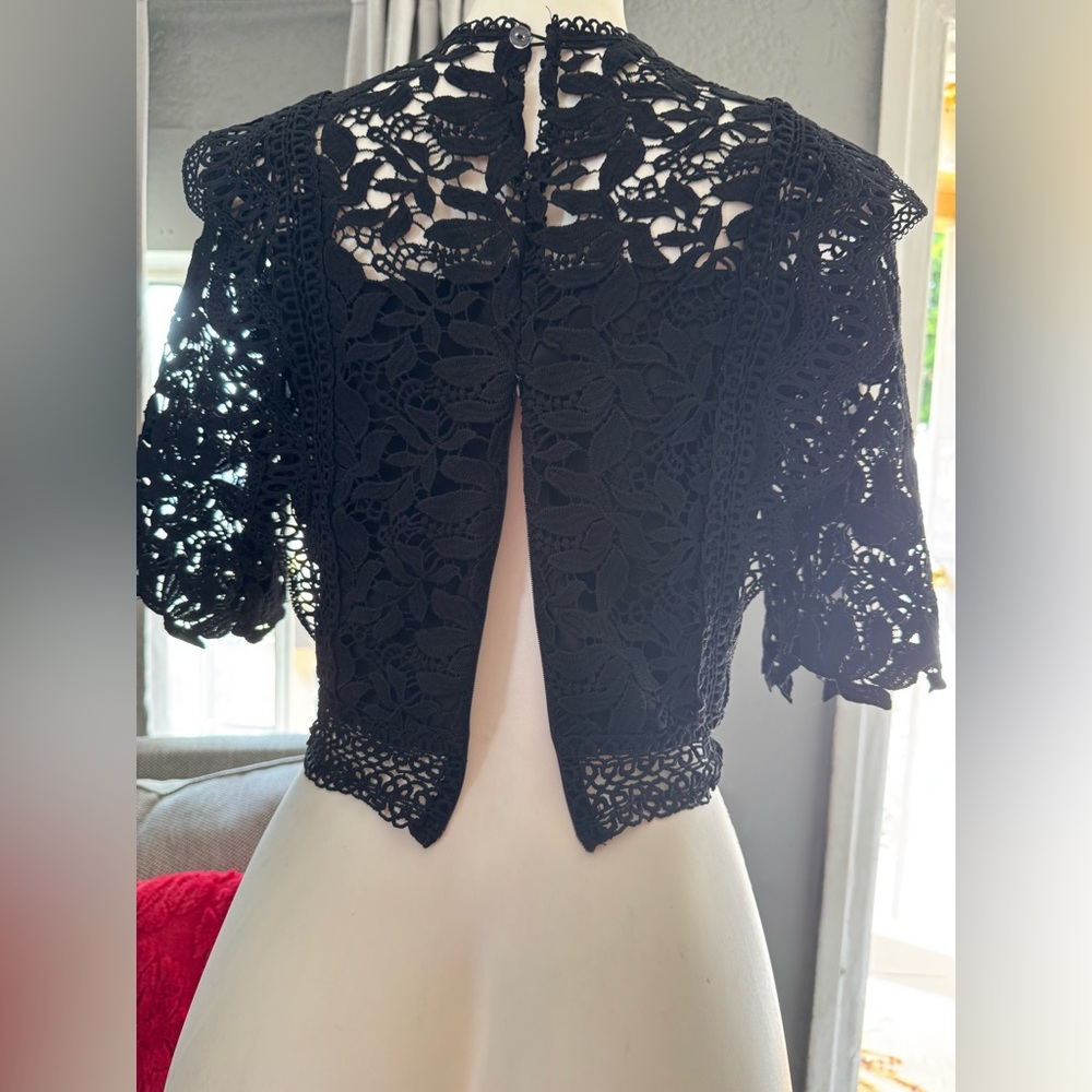 Elegant Black Lace Crop Top - Picture 6 of 7